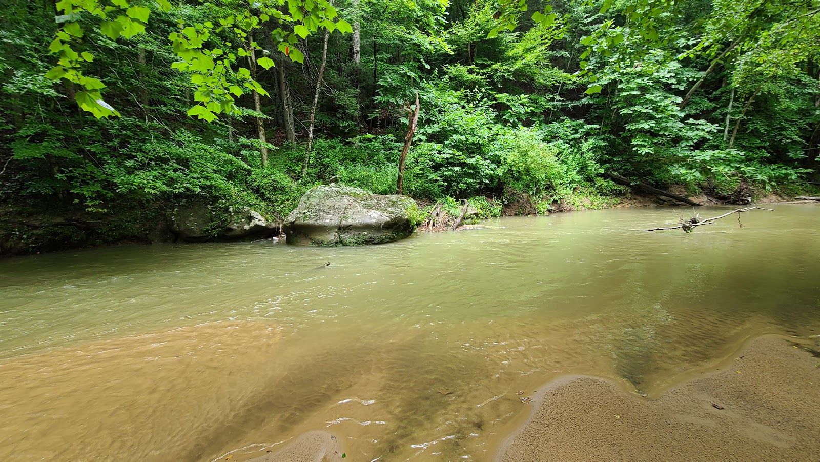 Cabwaylingo SF - Tick Ridge