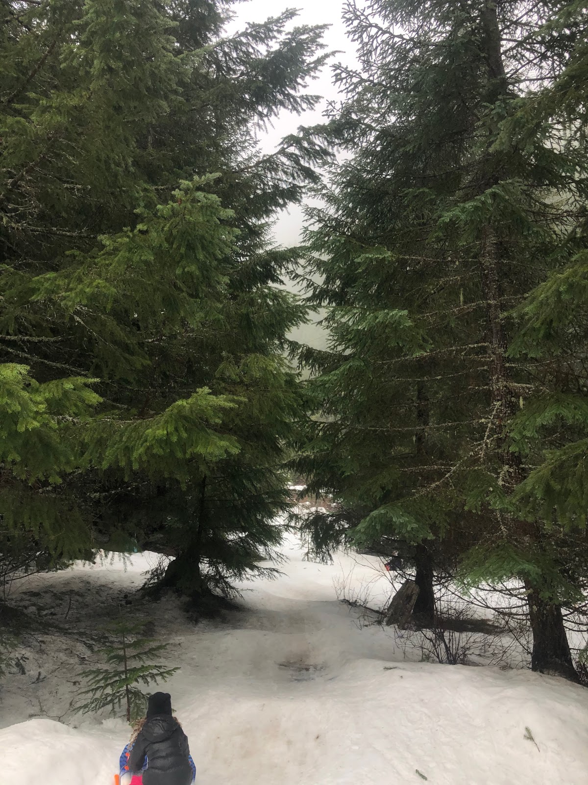 Half Camp Horse Campground