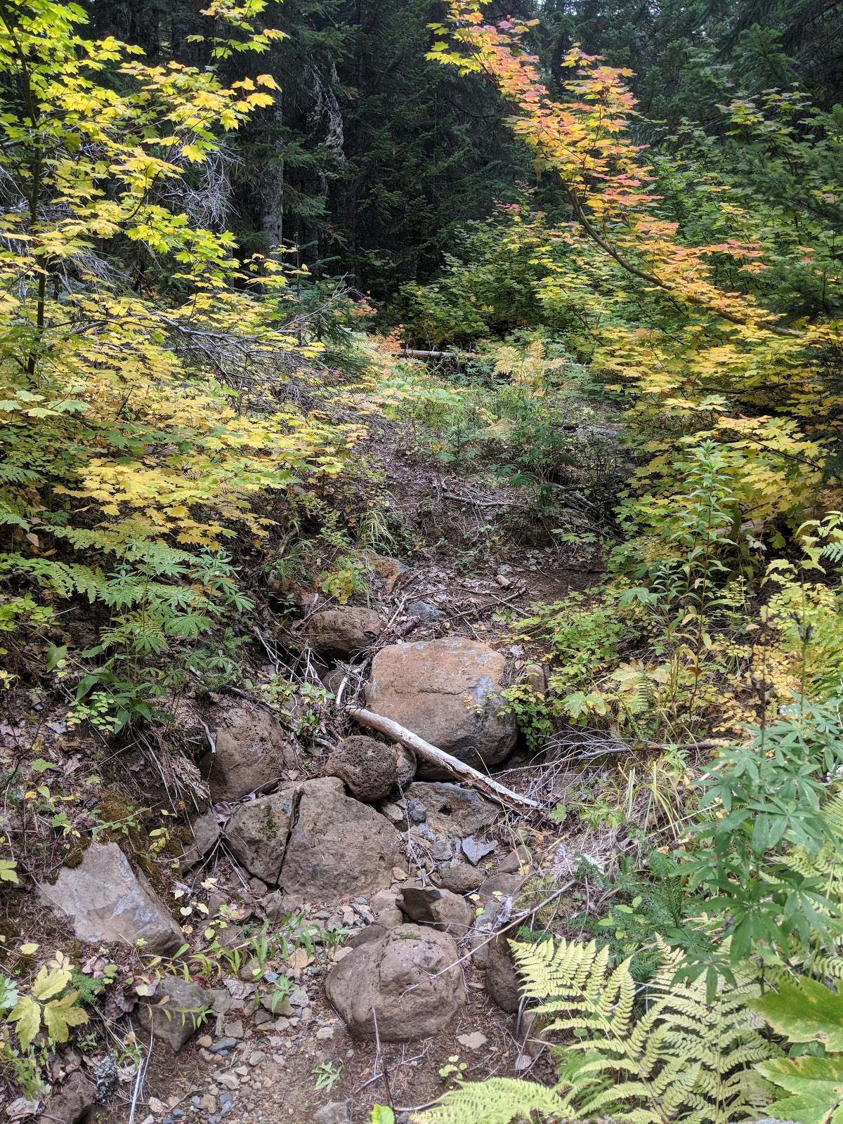 Falls Creek Horse Camp