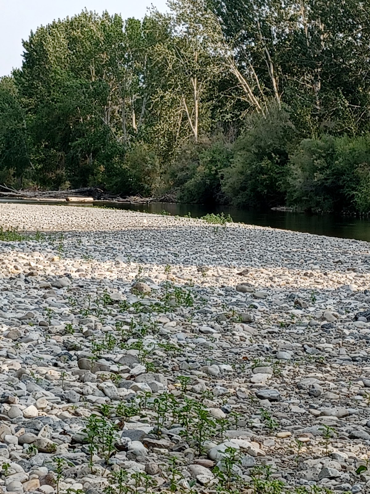 Riverside RV Campground