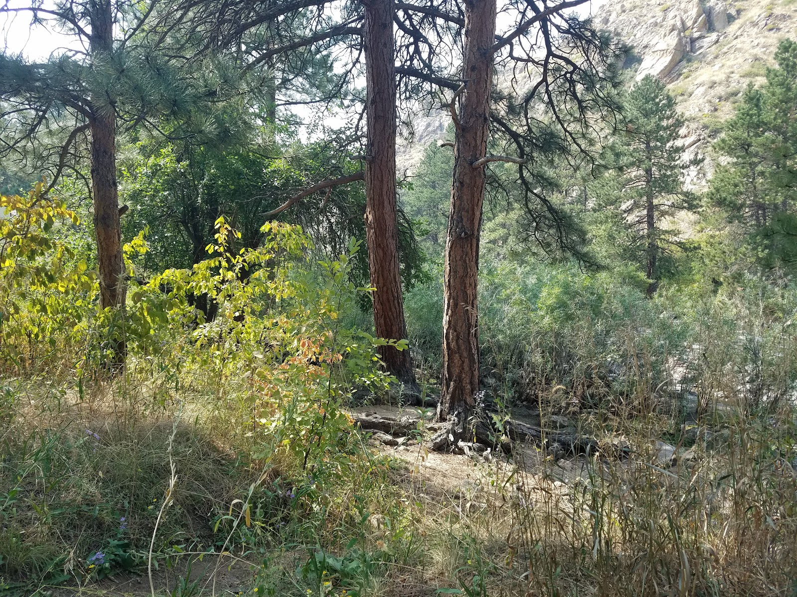 Ansel Watrous Campground