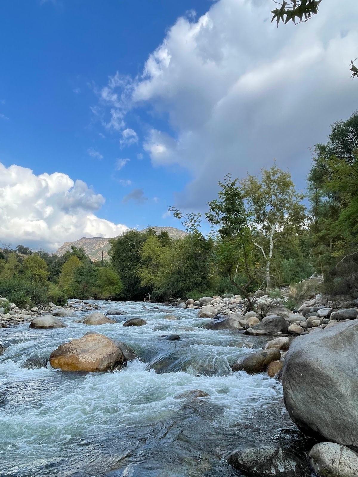 Three Rivers Hideaway