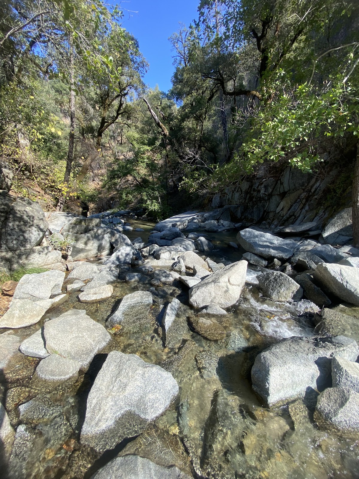 Crystal Creek Primitive Campground