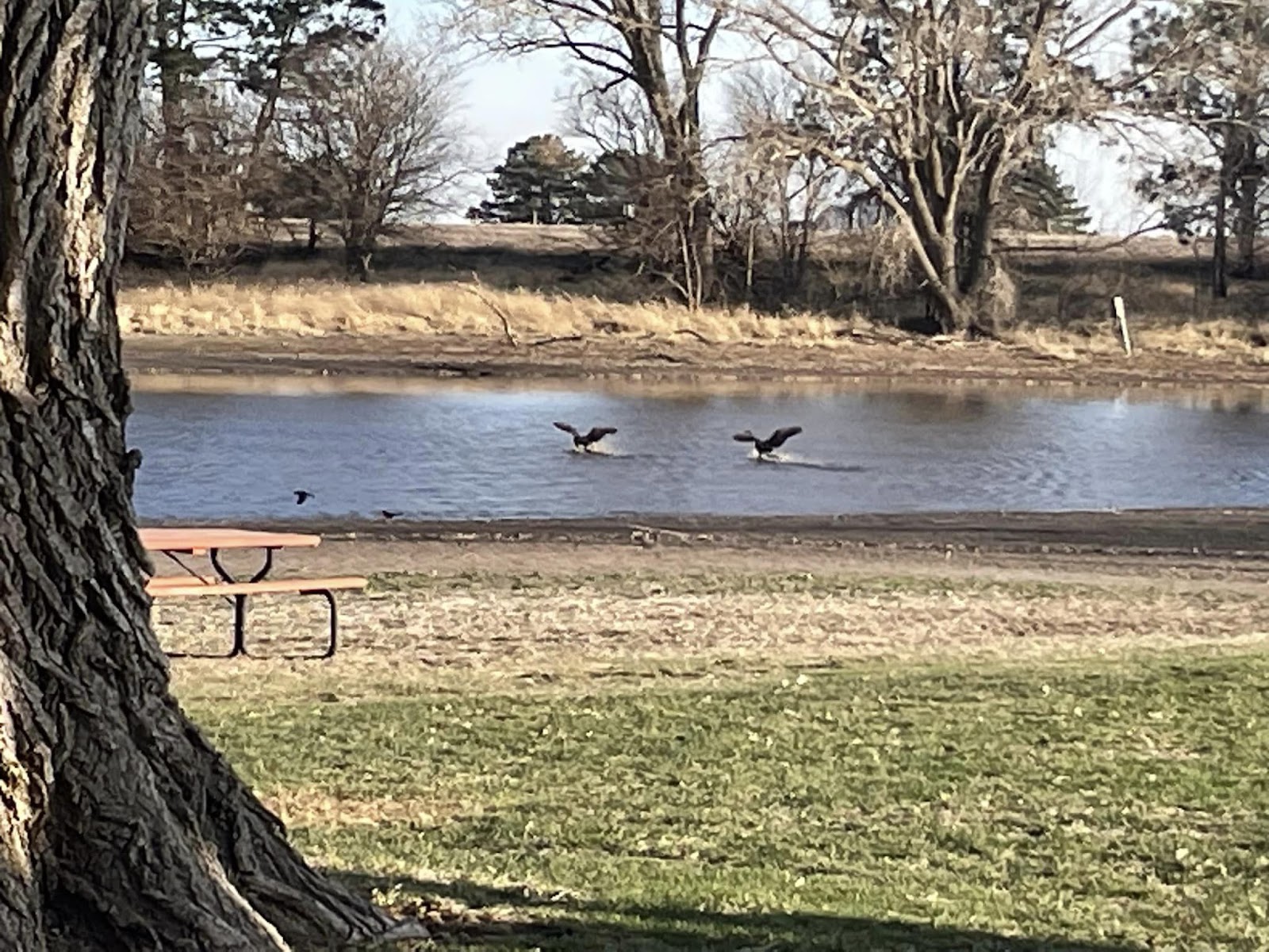 Western Campground & Motor Inn