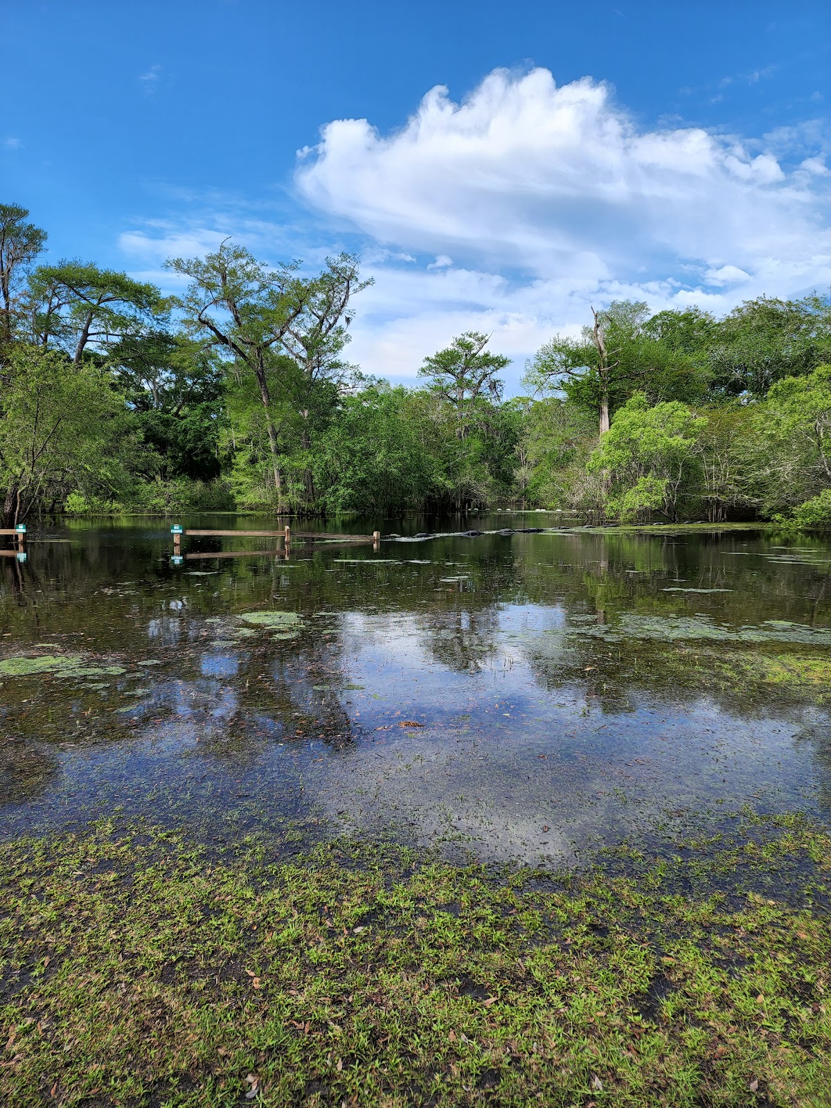 Otter Springs RV Resort