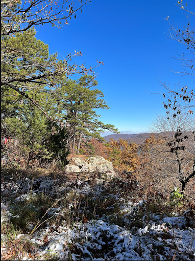 Stack Rock Special Interest Area