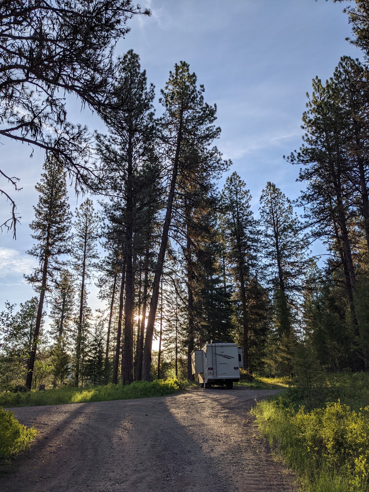 Bird Track Springs Campground