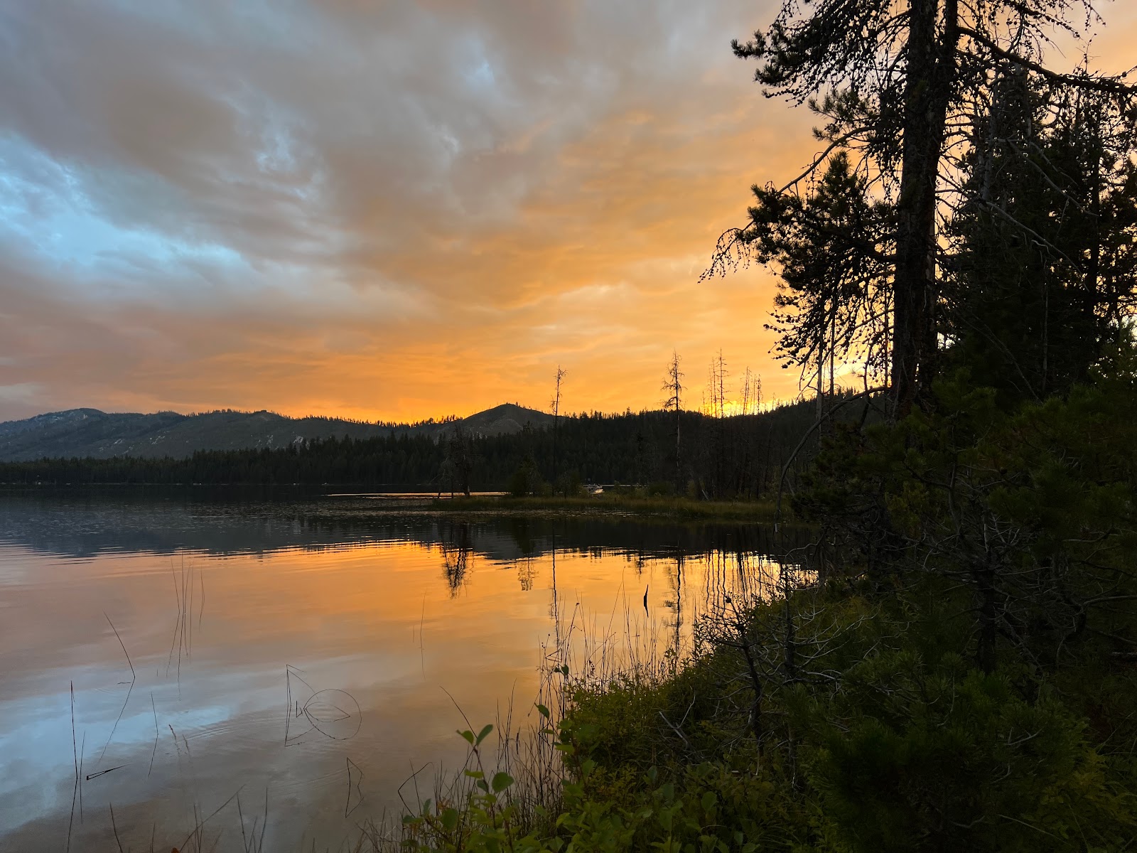 Shoreline Campground