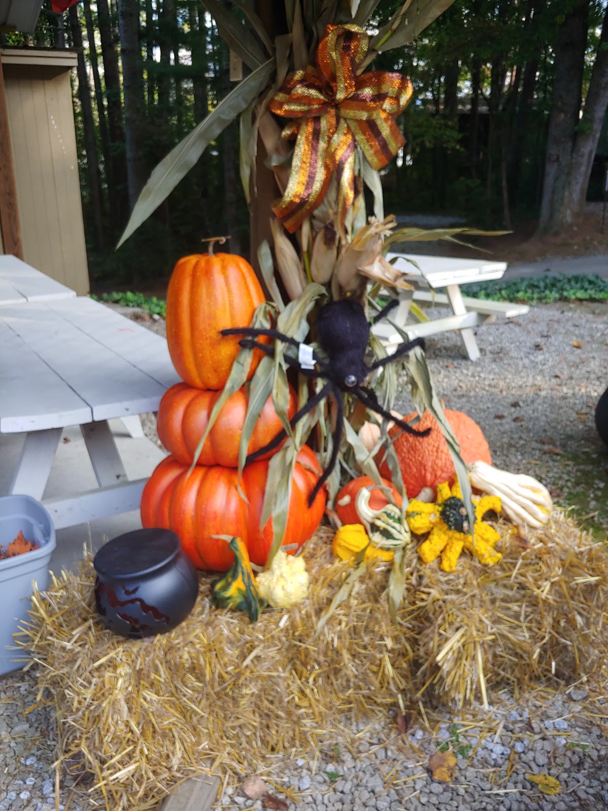 Country Woods RV Park