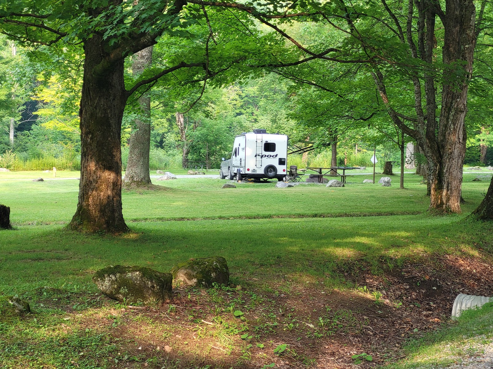 Cranberry River Sites NF Campground