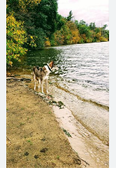Pine Lake State Park