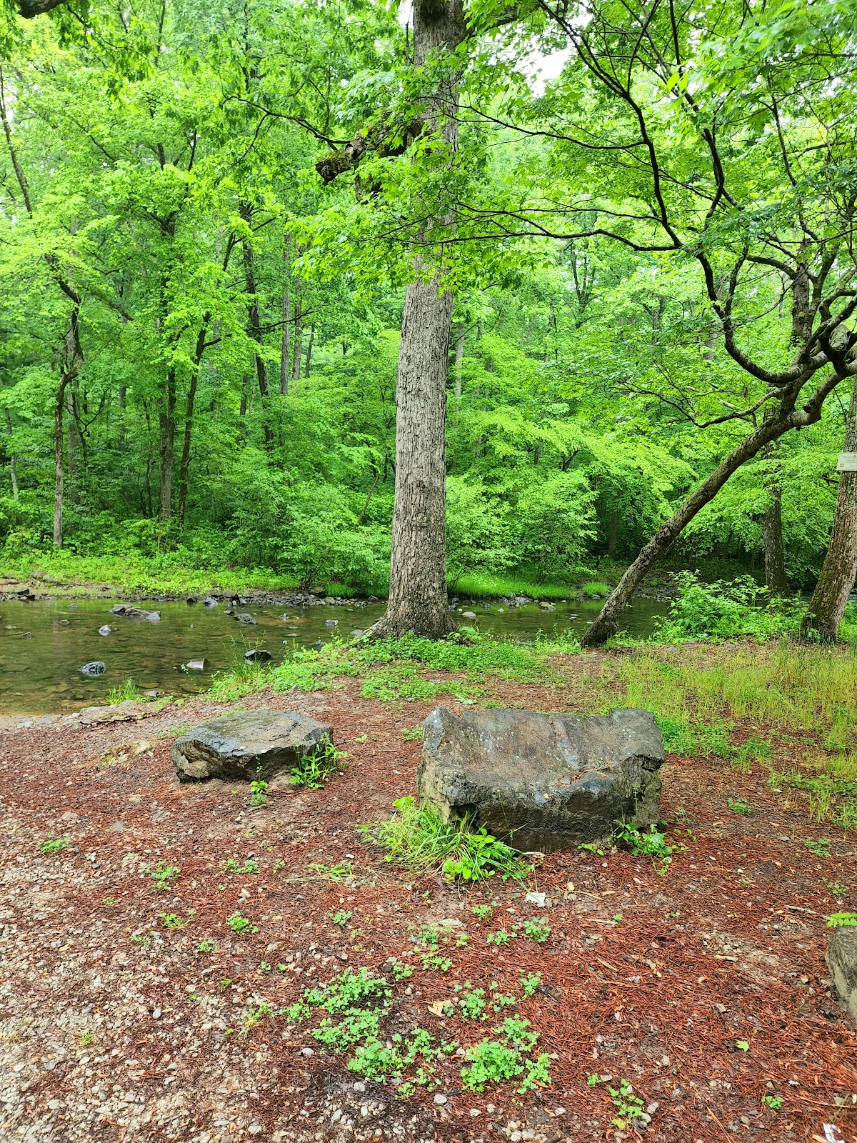 The Pocket Recreation Area