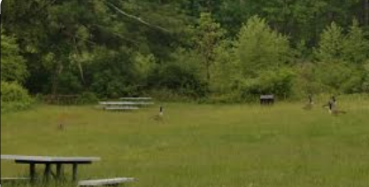 Delaware Water Gap National Recreation Area