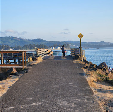 Tree 'n' Sea Trailer Park