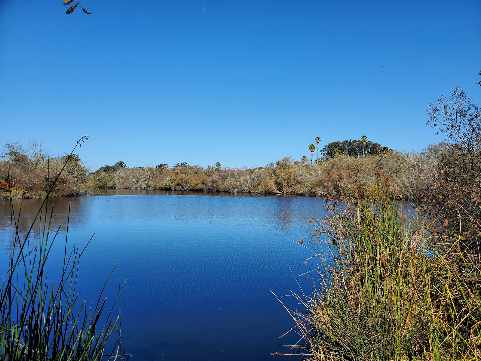 Oceano Campground at Pismo State Beach