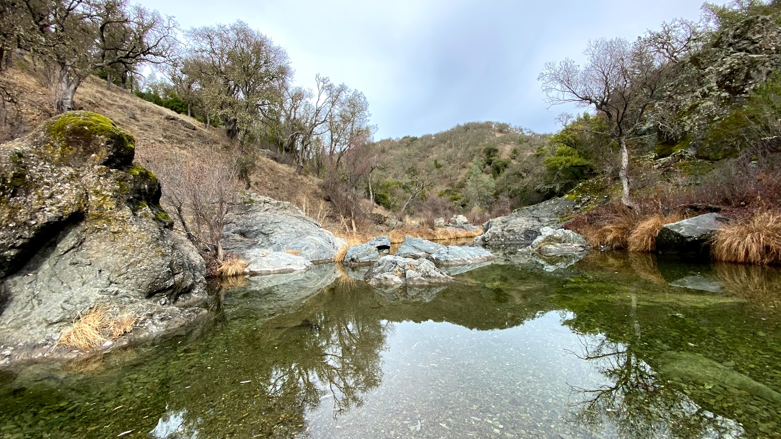 Henry W. Coe State Park