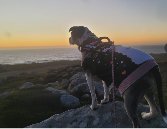 Gerstle Cove Campground