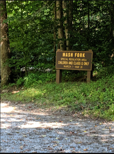 Mash Fork Campground