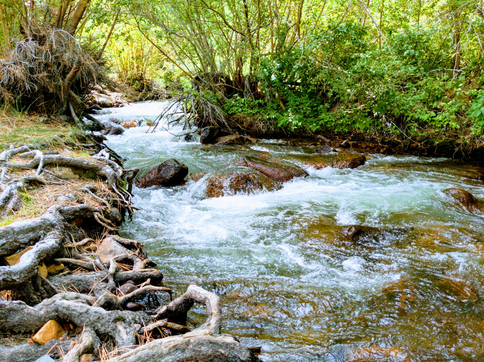 French Camp Campground