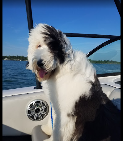 White Lake Motel and Campground