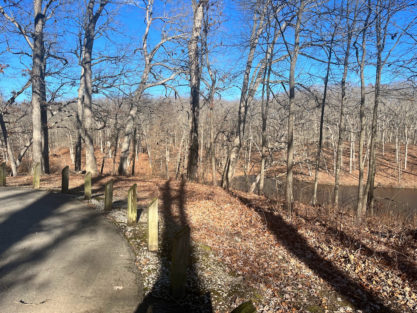 White Oak - Ramsey Lake SRA