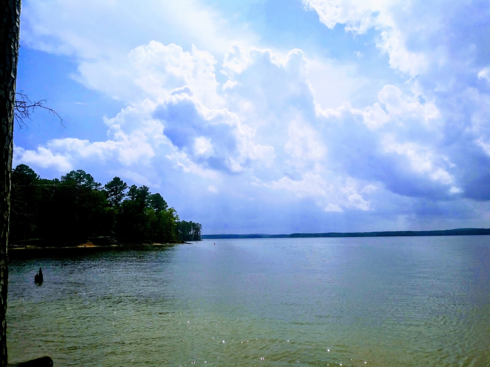 Poplar Point - Jordan Lake SRA
