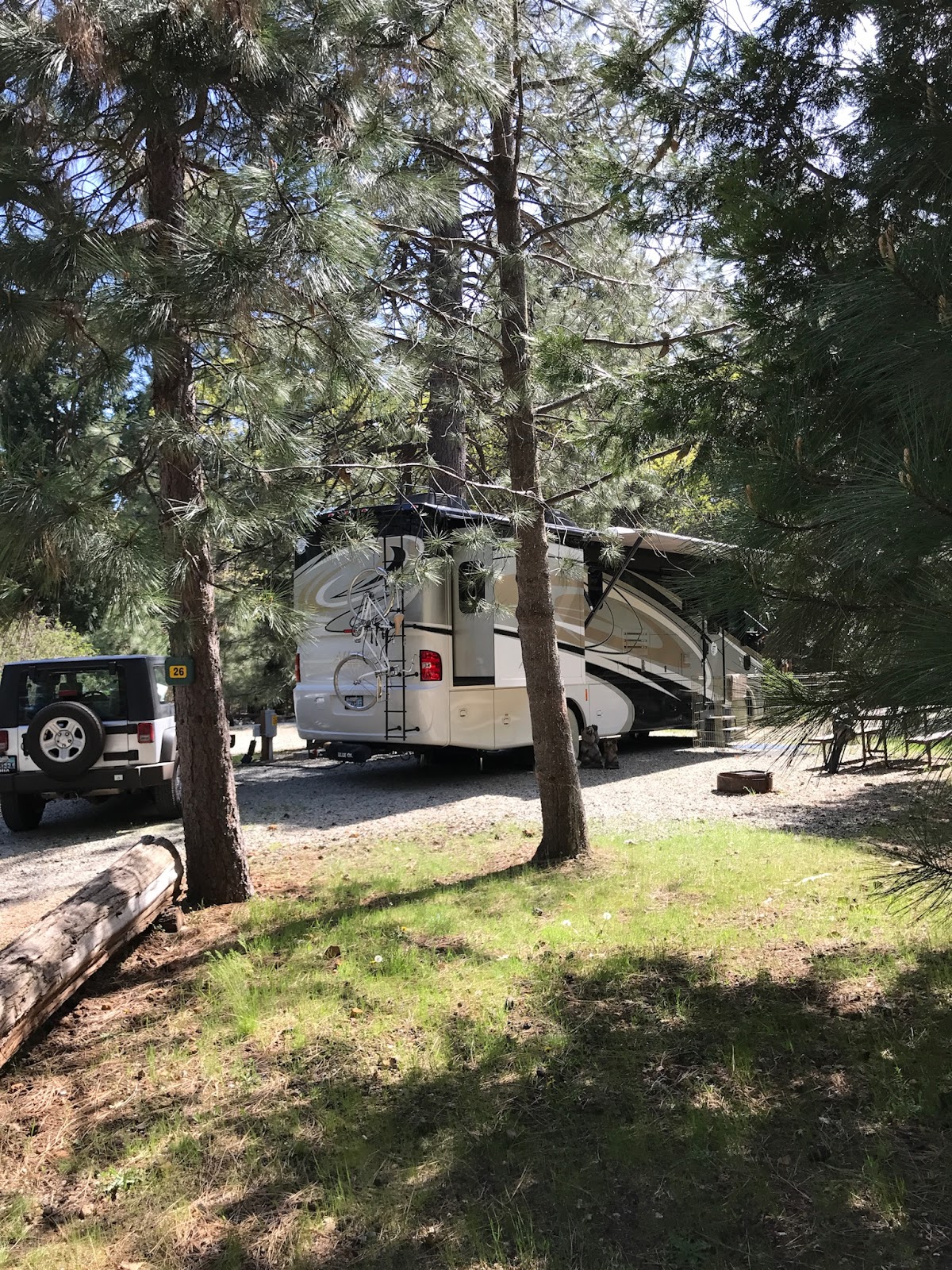 Mt Lassen/Shingletown KOA