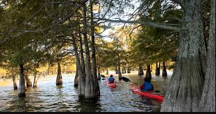 Marion McCollum Lake Greenlee