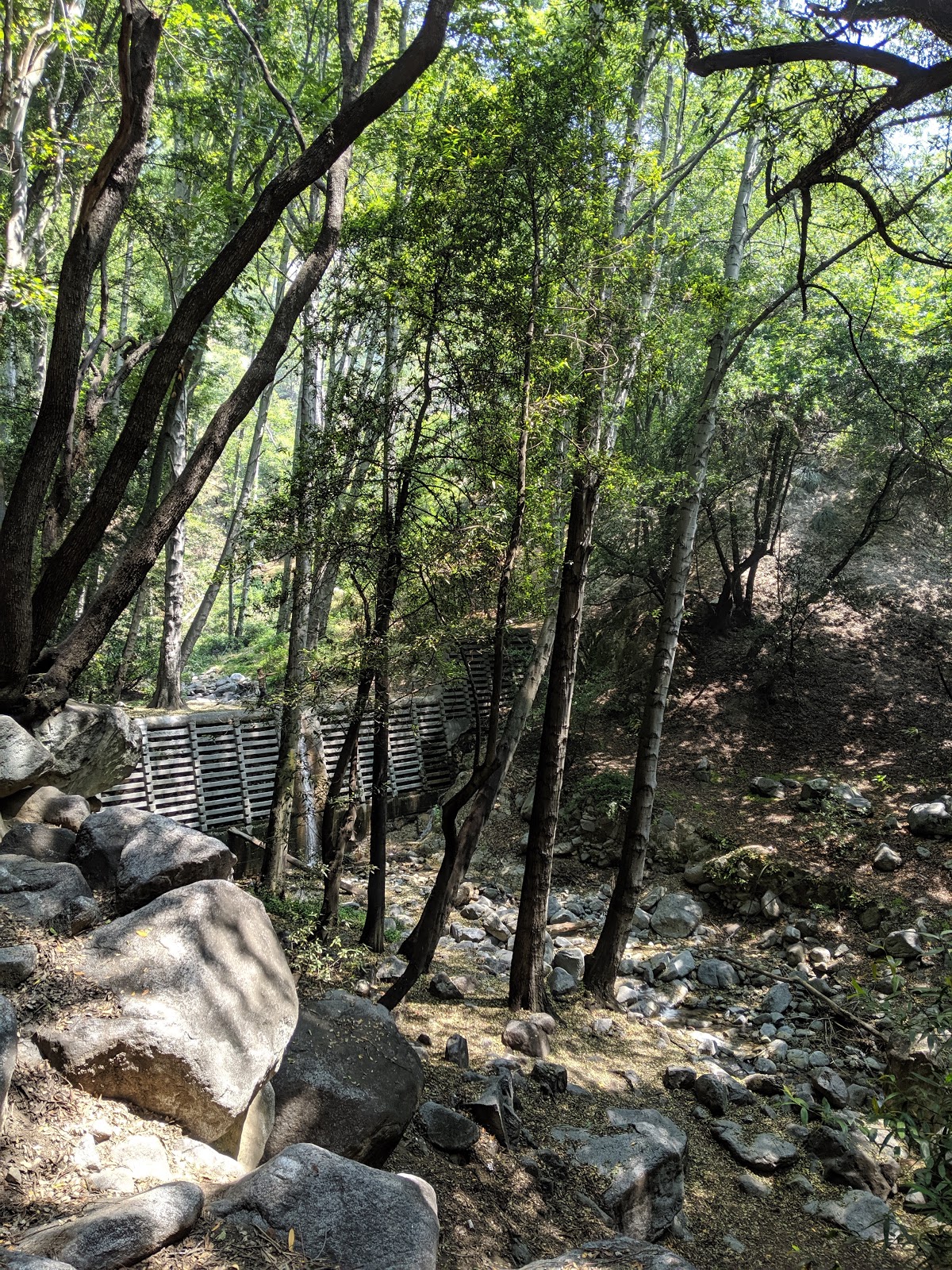 Hoegees Trail Camp Campground