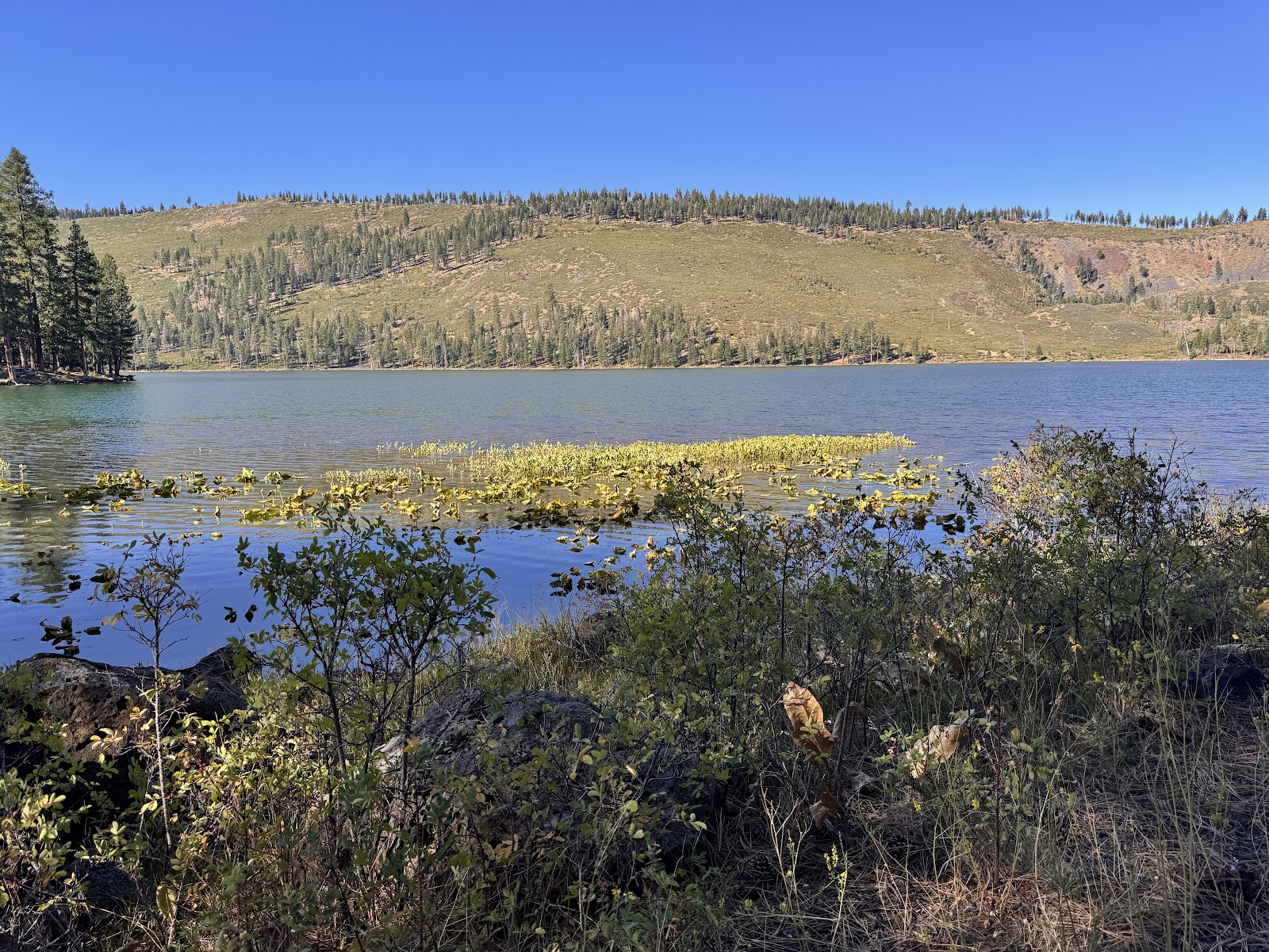 Blue Lake Campground