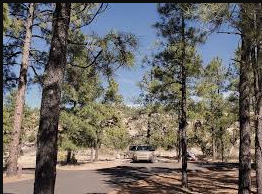Juniper Campground - Bandelier National Monument
