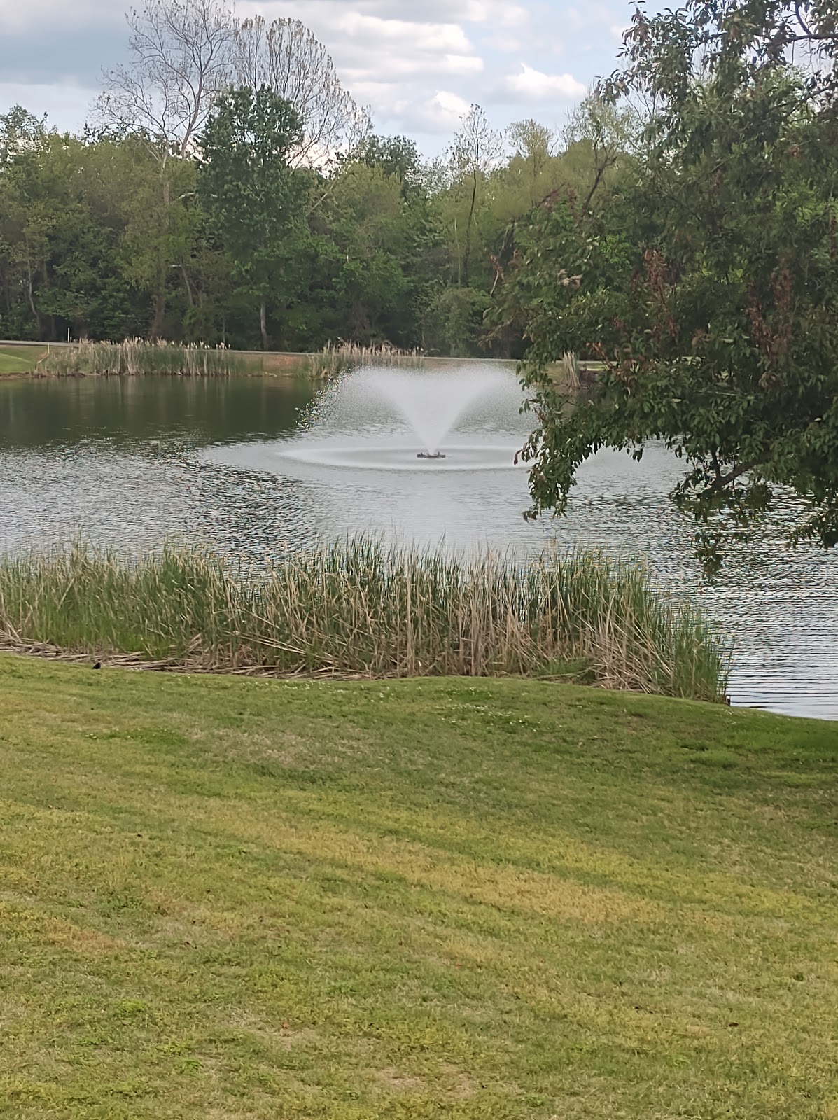 Dogwood Hills Golf Course