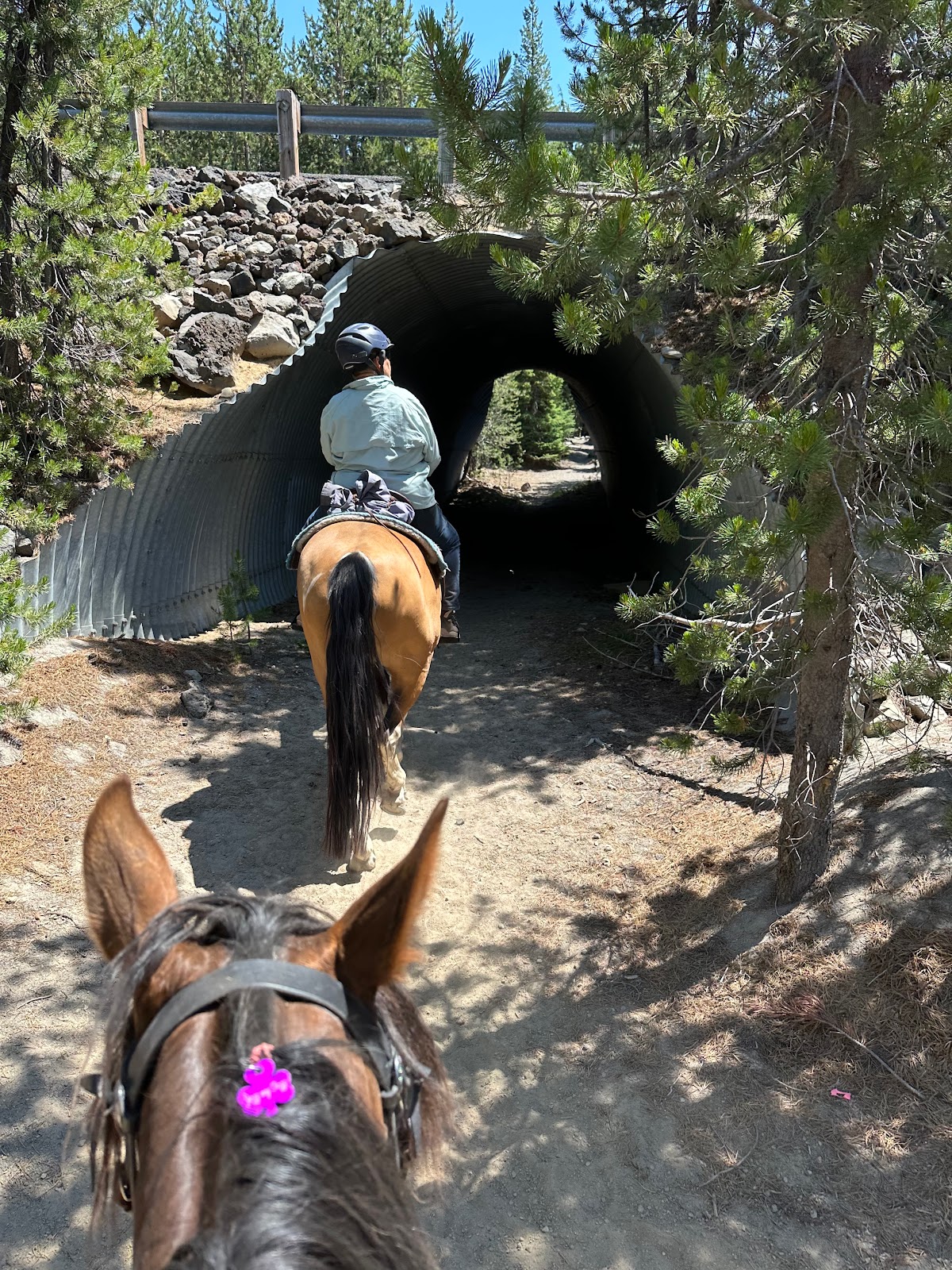 Quinn Meadow Horse Camp Campground