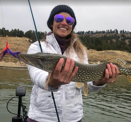 Empire Guesthouse RV Park