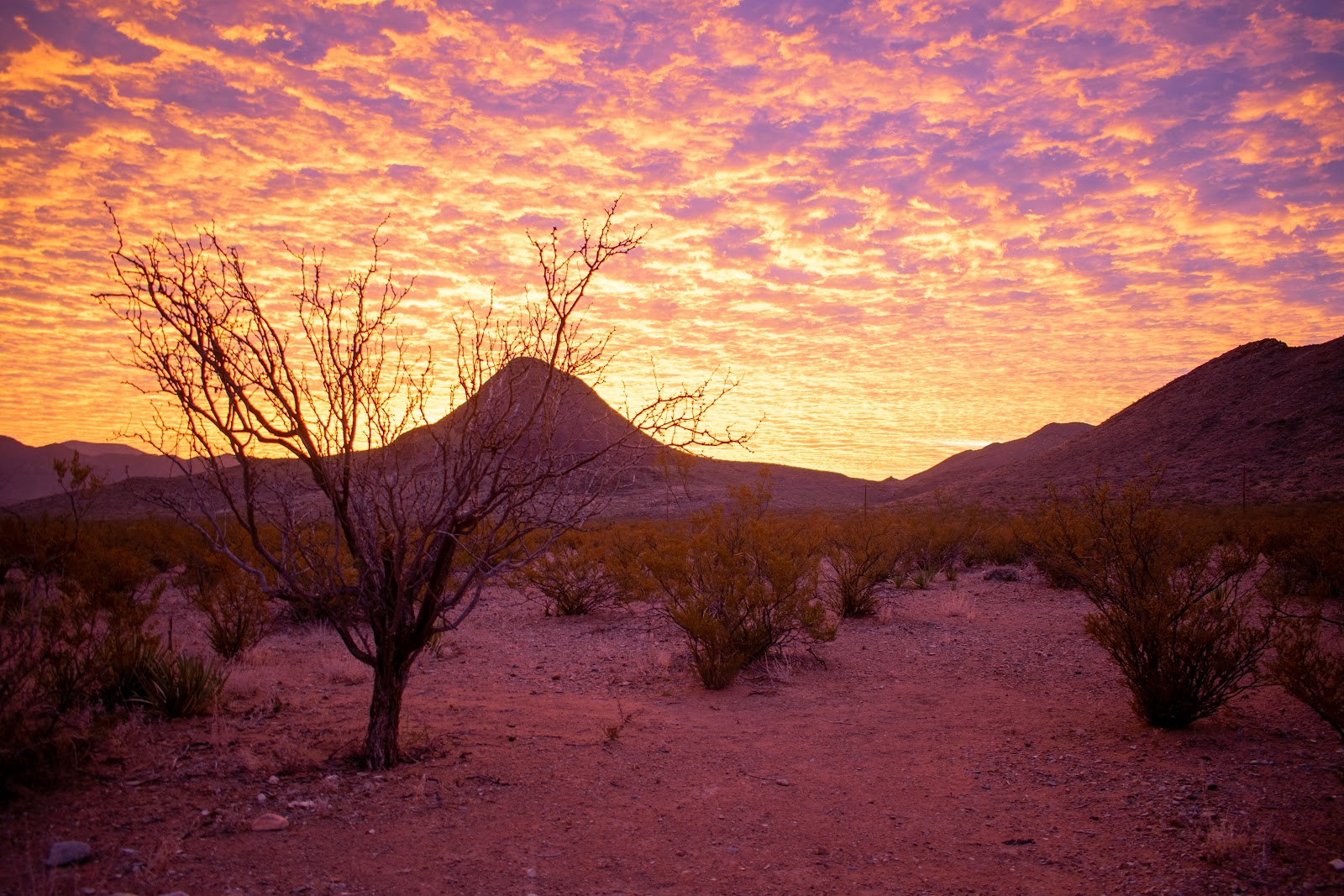 Tin Valley Retro Rentals