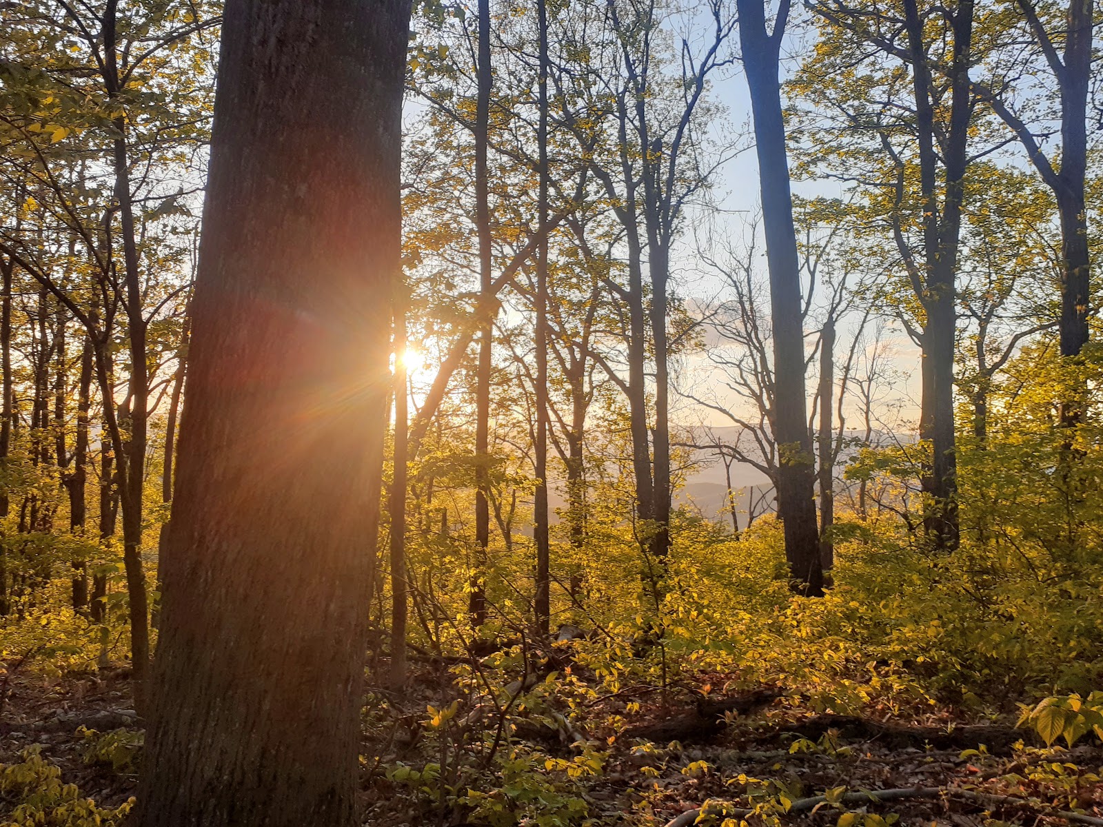 Cave Mountain Lake Recreation Area