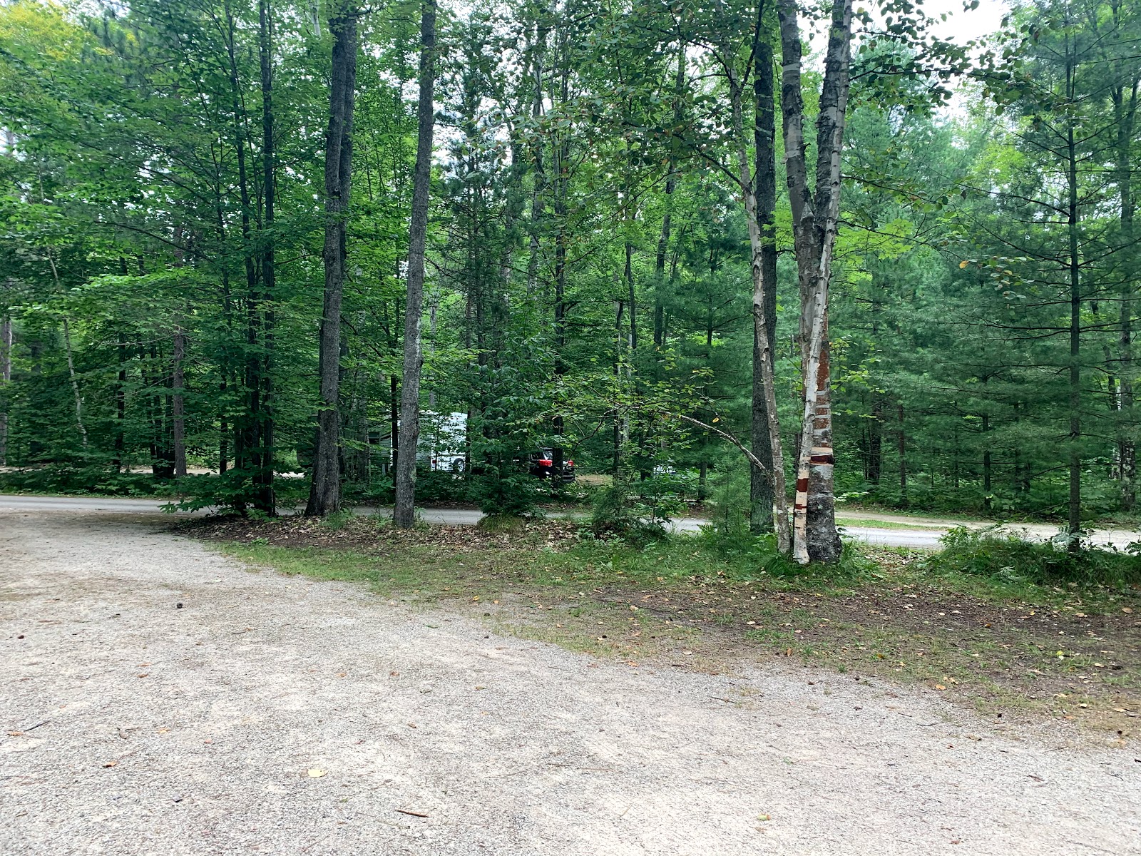 Camp 7 Lake NF Campground