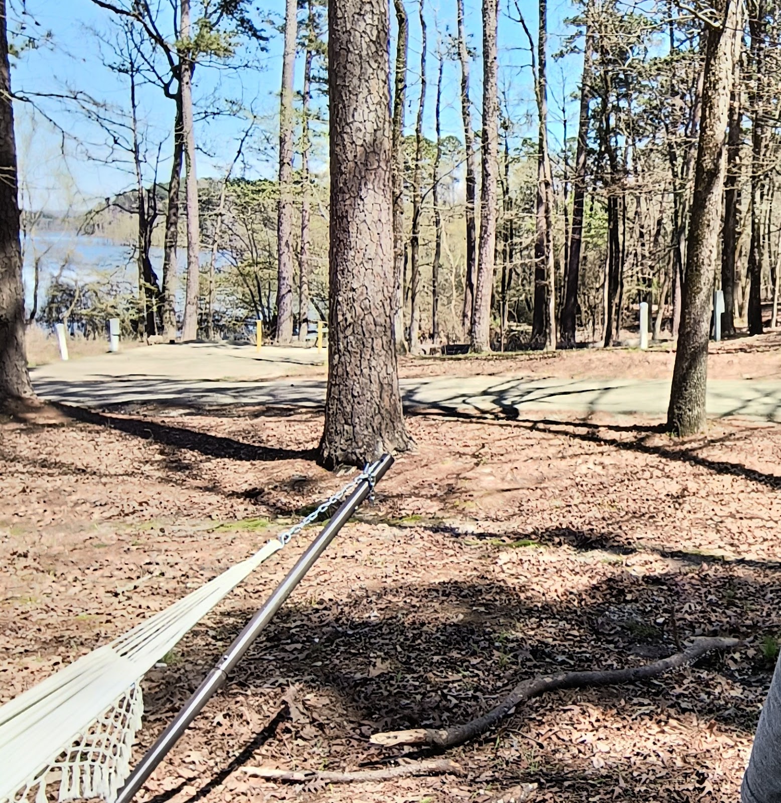 Alpine Ridge  De Gray Lake Camping