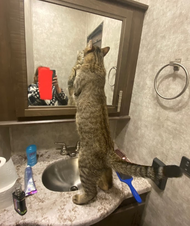 Country Corners RV Park And Campground