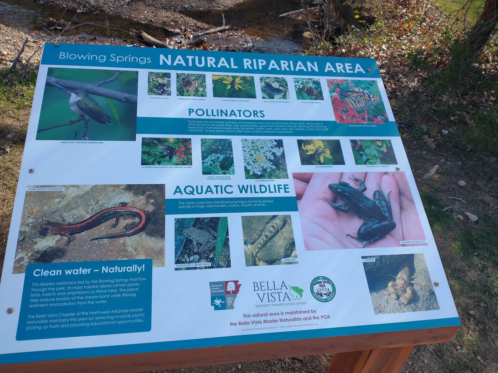 Blowing Springs Campground