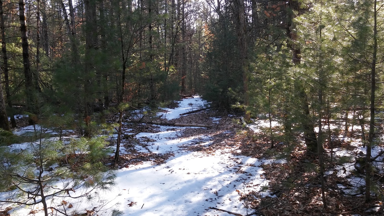 Bray Creek Campground