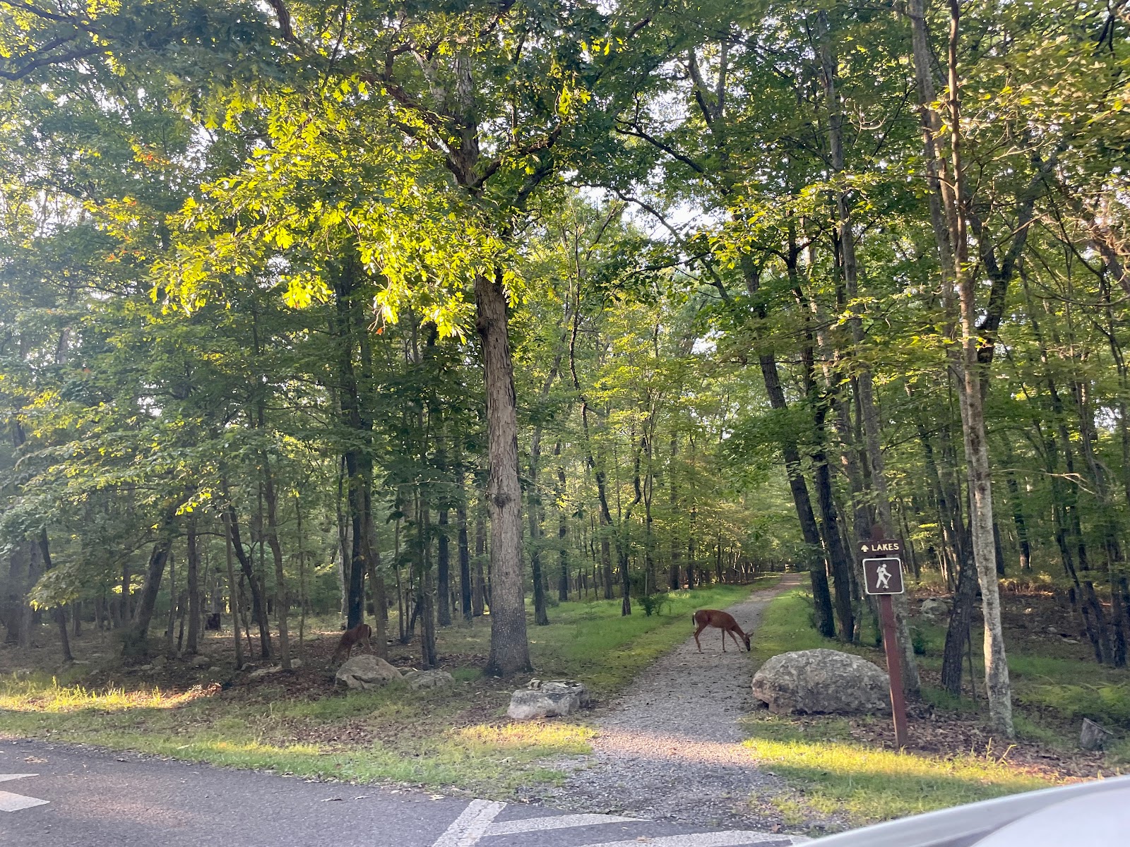 George Washington/Trout Pond