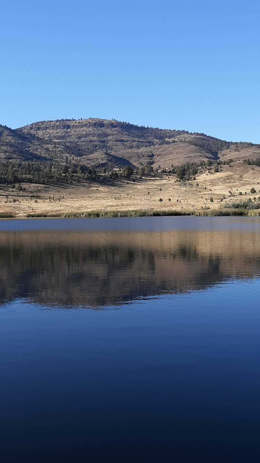 Monument Motel & RV Park