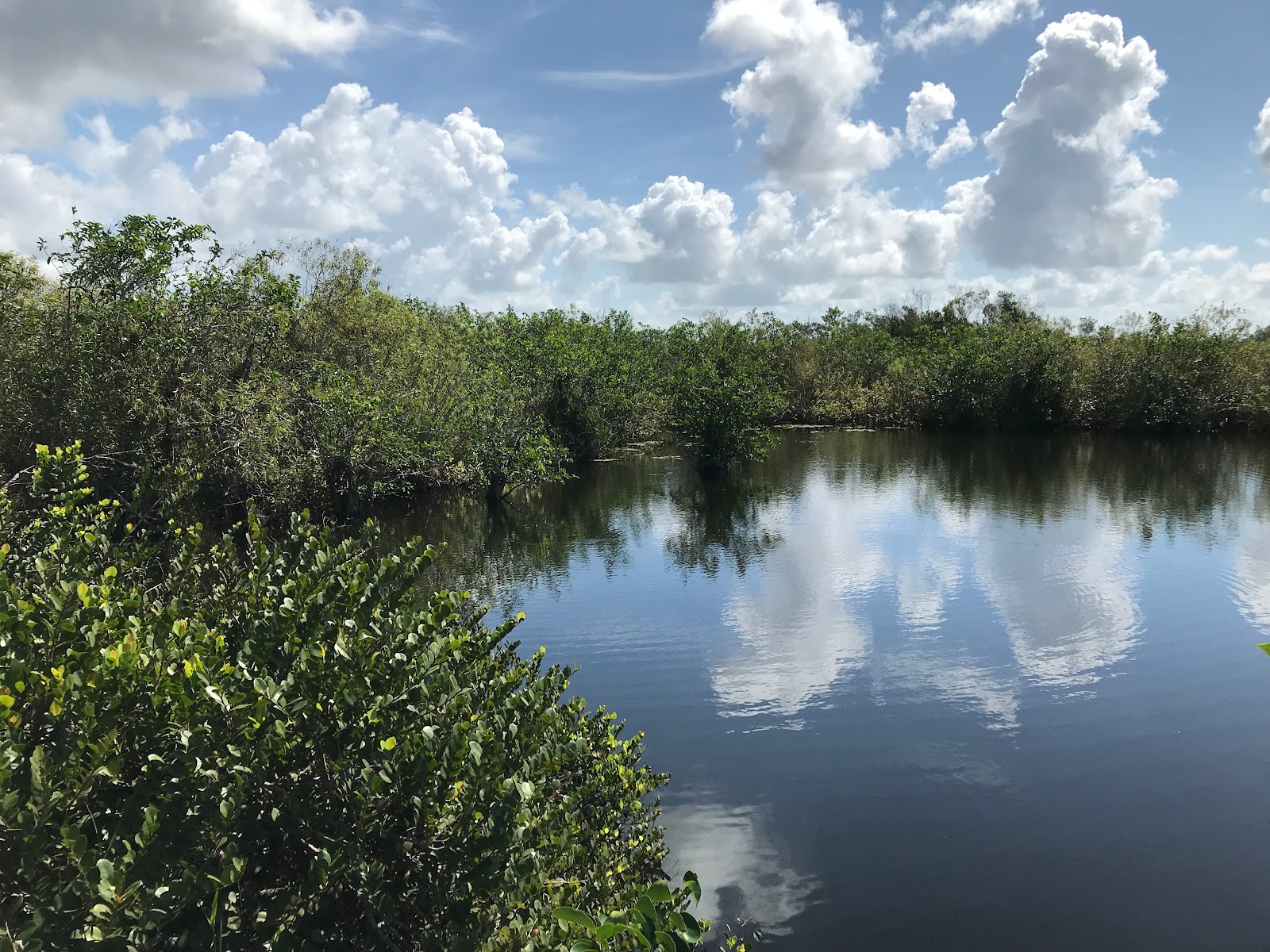 Backcountry Alligator Creek - Everglades National Park