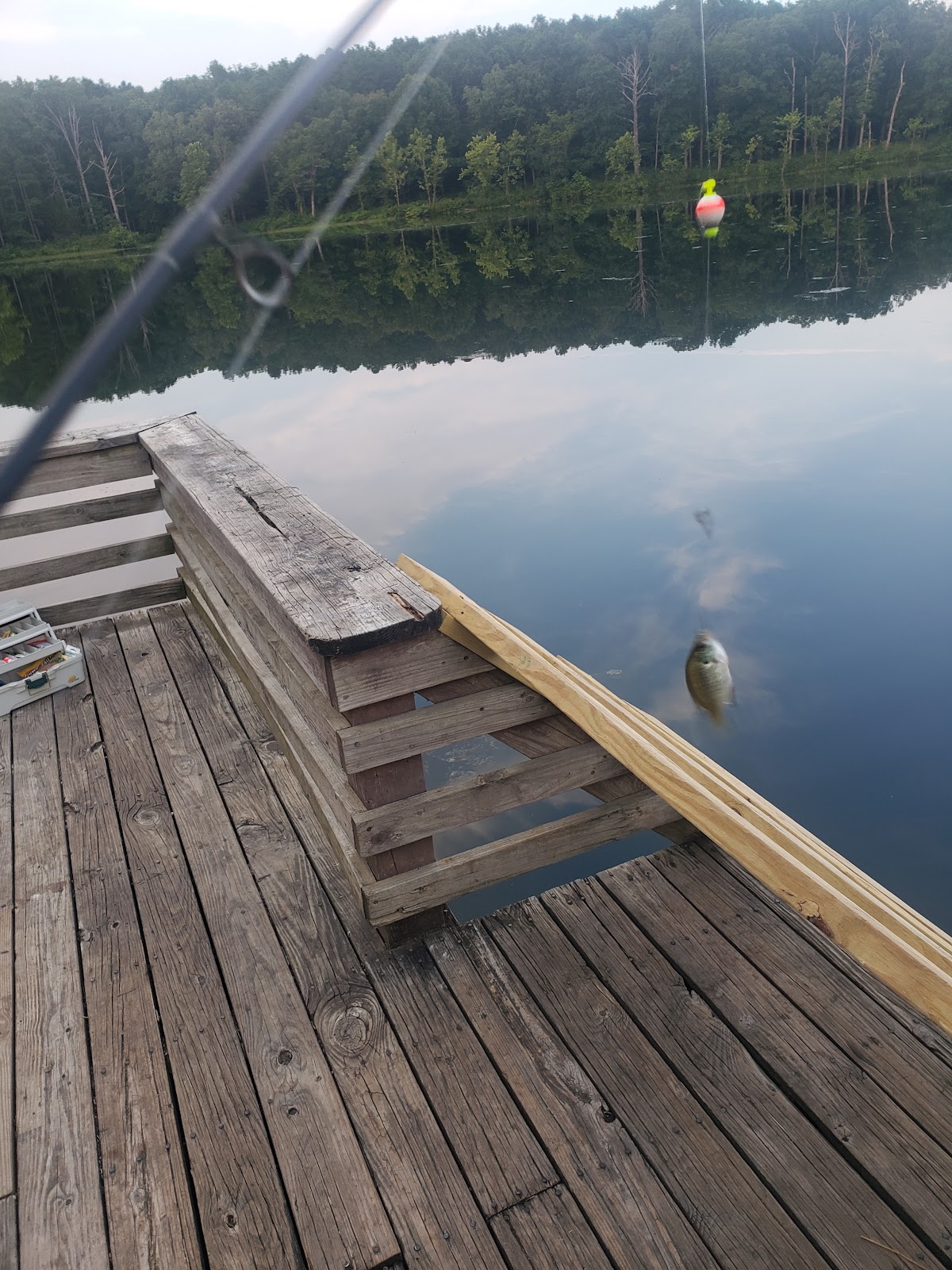 Fourche Lake Rec Area