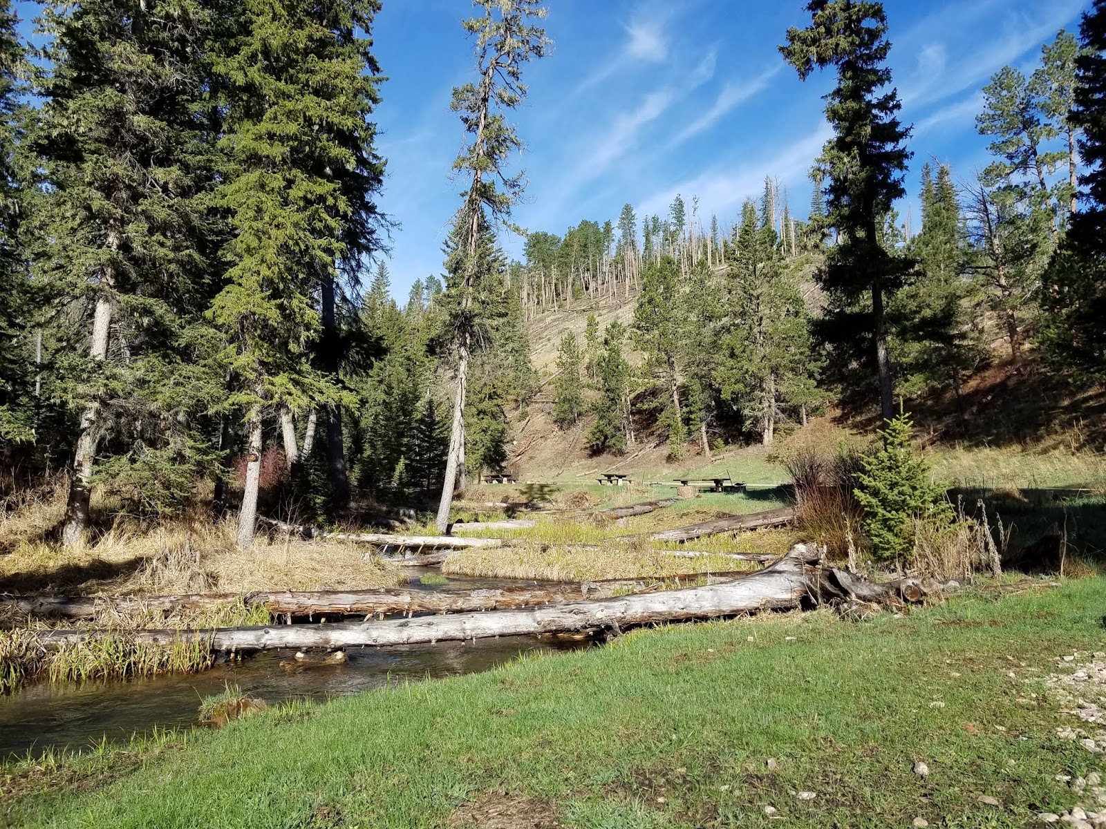 Black Fox Campground