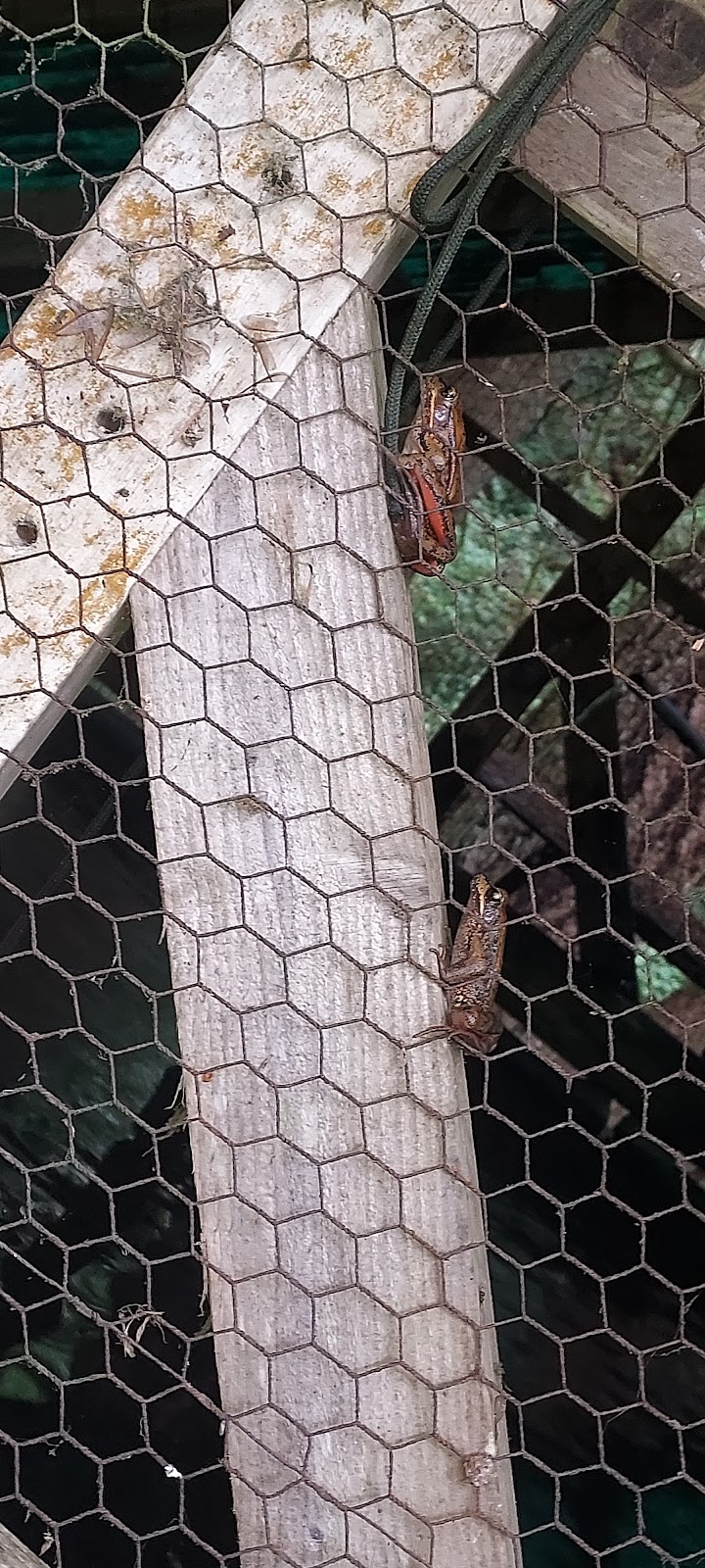 Chehalis / Highway 12 Campground