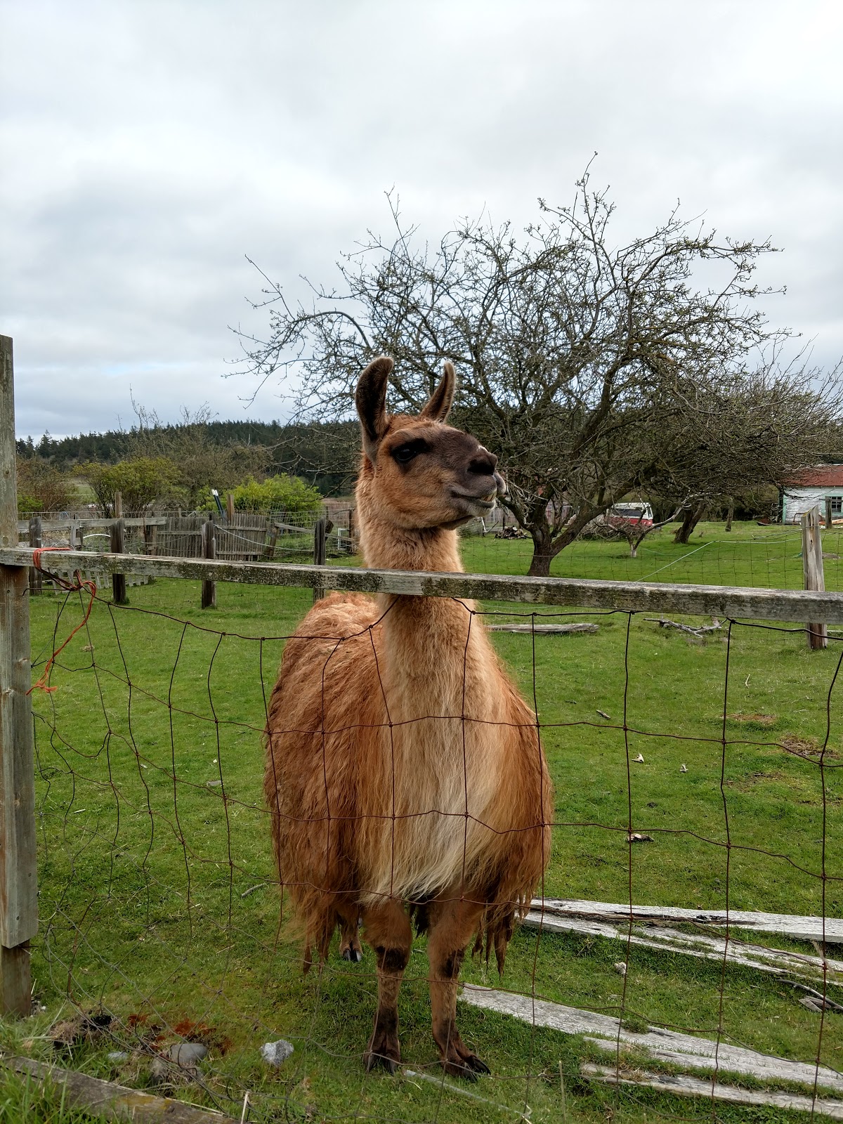 Jefferson County Fairgrounds and RV Campgrounds