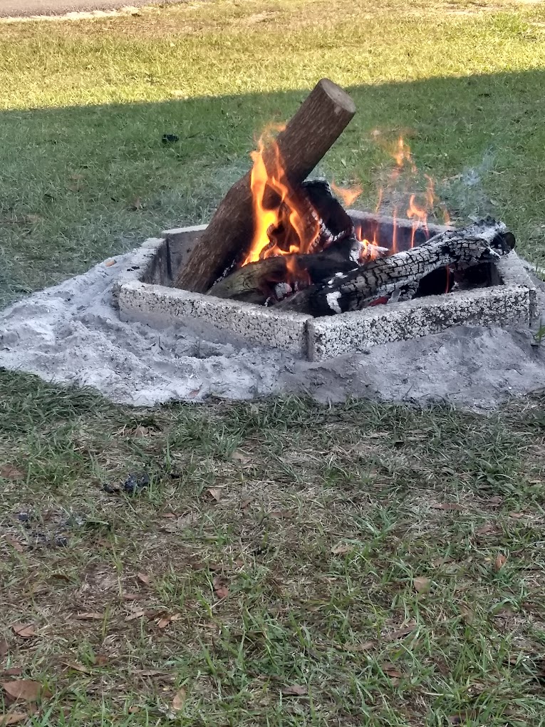 Ocala Forest Campground