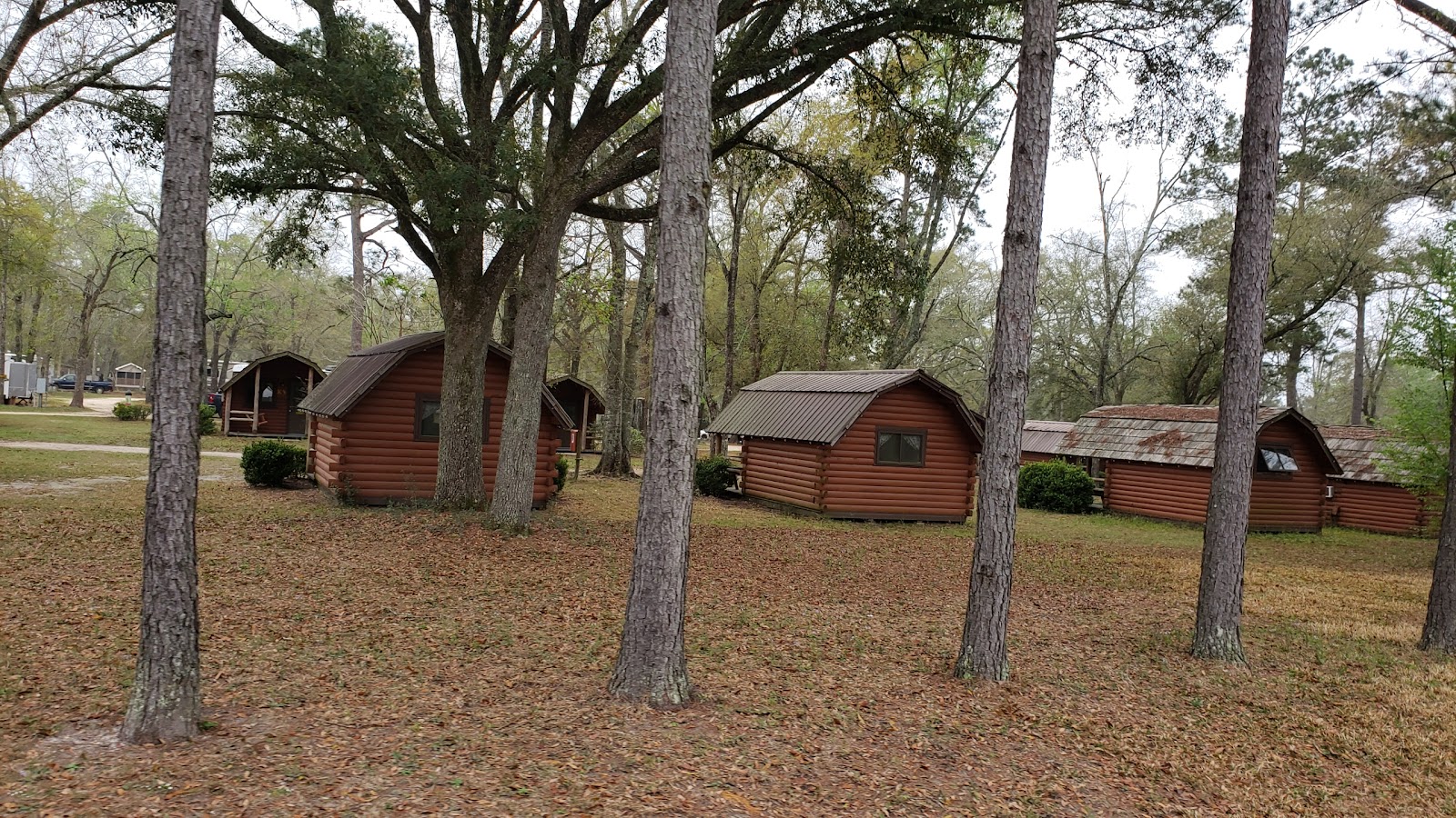 Tallahassee East/Monticello – KOA